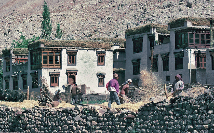 Agriculturists’ Houses, Leh These are constructed with working areas on the ground in summer and on the roof for winter, also for storage of firewood. The corner windows let in light bi-directionally. Loose stones make up the boundary